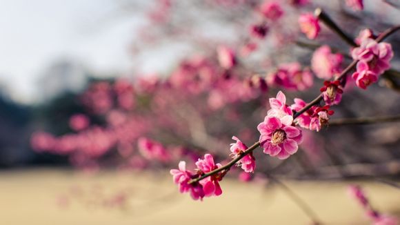 plc触摸屏怎么设置运行时间