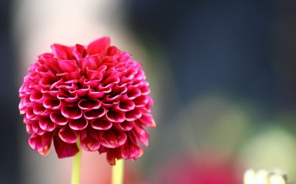 家电维修常备配件有哪些