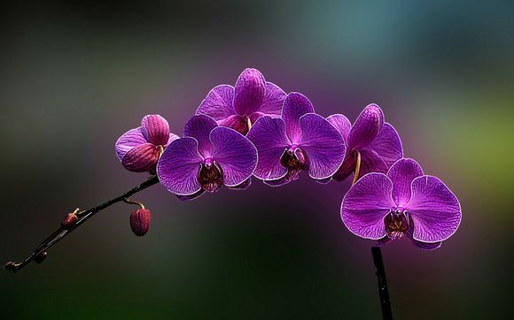 怎么给公司注册丁香通