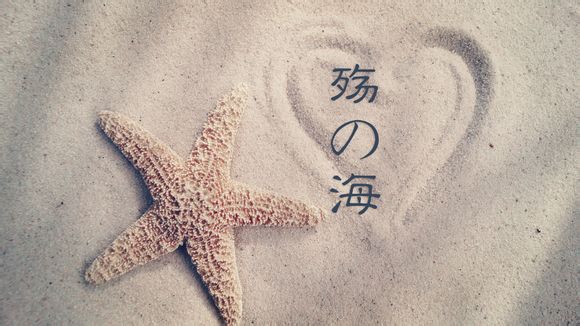 见双方家长怎么安排