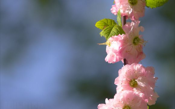 基板端子有什么型号
