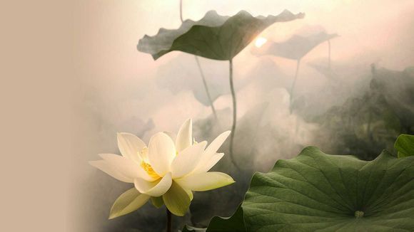 什么是泄露电流试验